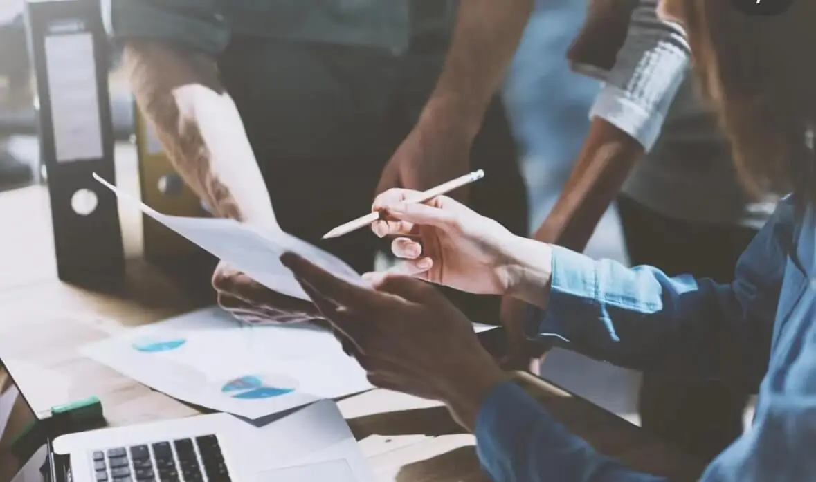 泉州旅游哪里有兔子吃草